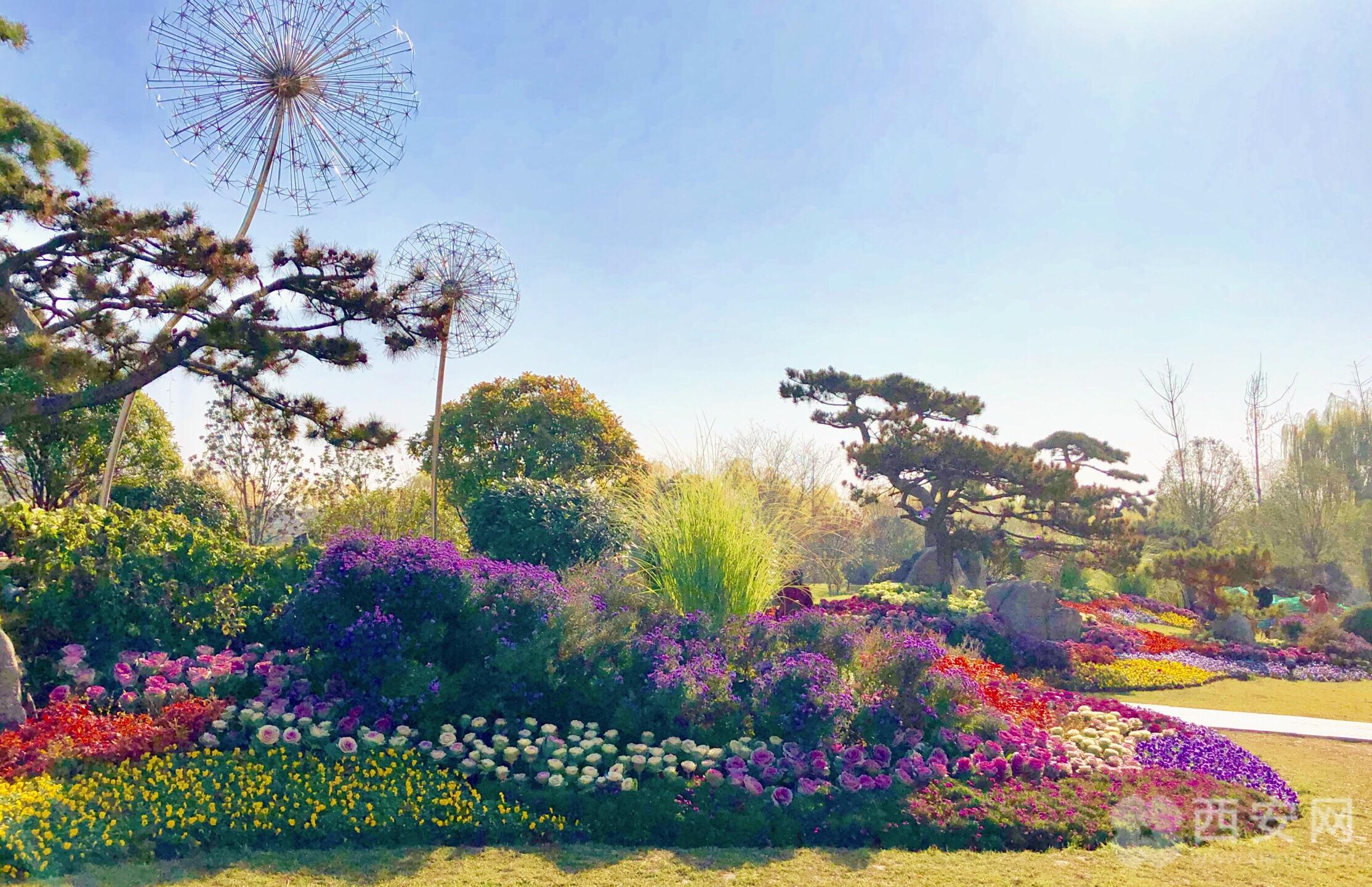 西安最靓街区 芙蓉南路:曲江新区的"鲜花大道"