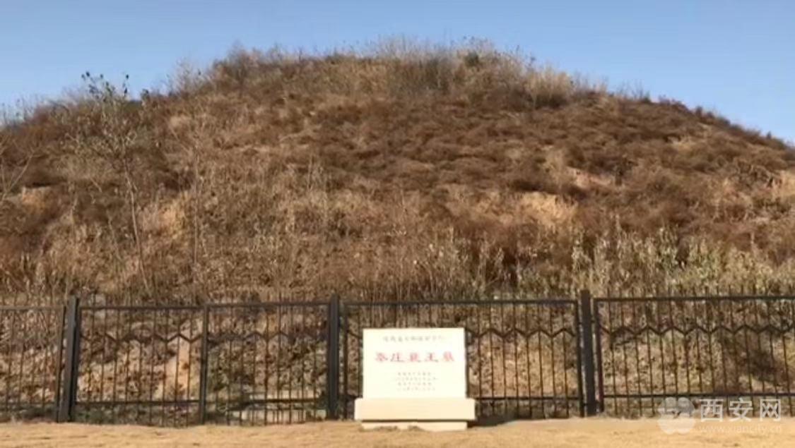 秦庄襄王墓藏在闹市中大秦赋让秦文化疯狂出圈